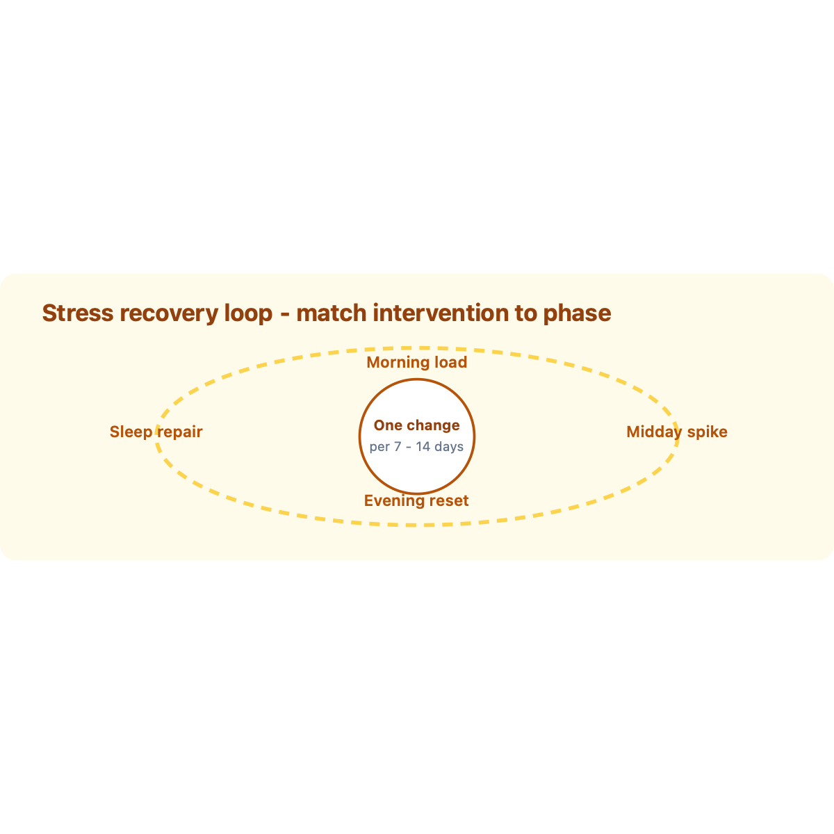 Daily habit loop